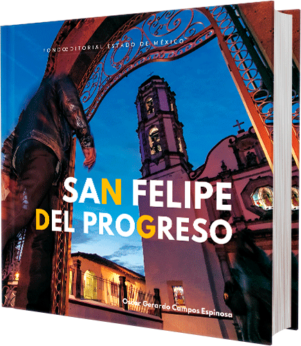 San Felipe Del Progreso Foem