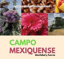 Campo mexiquense