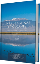 Entre lagunas y volcanes; una historia del Valle de Toluca (fines del siglo XV-siglo XVIII) Vol. I