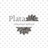 Plata. Forjando México